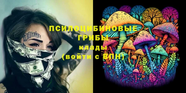 ПСИЛОЦИБИНОВЫЕ ГРИБЫ Надым
