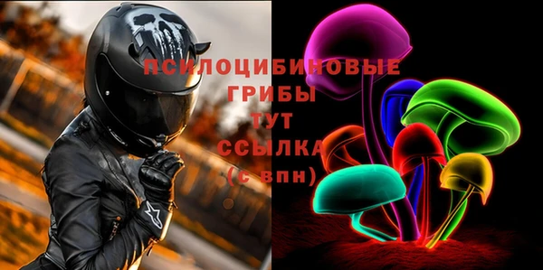 ПСИЛОЦИБИНОВЫЕ ГРИБЫ Надым