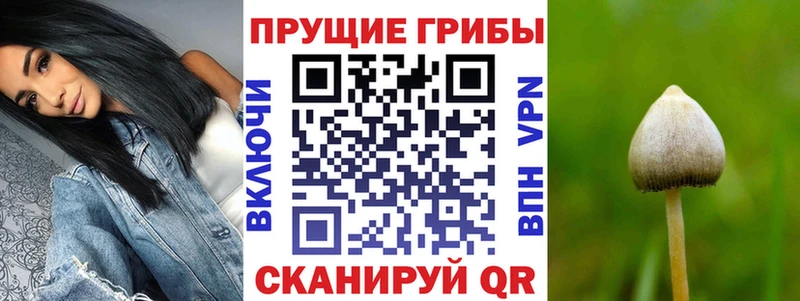 Галлюциногенные грибы Magic Shrooms  продажа наркотиков  гидра онион  Катав-Ивановск 